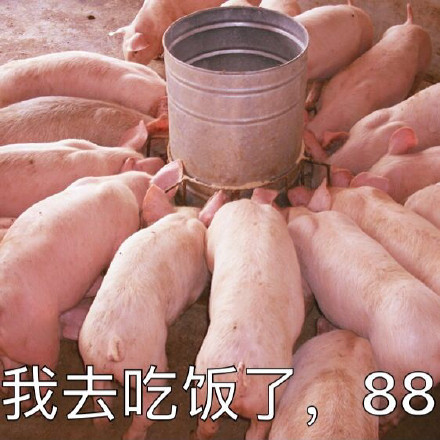 聊天斗图不用愁！这款无水印热门表情包合集太好用了