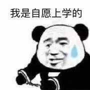打工人、学生党专属！这套