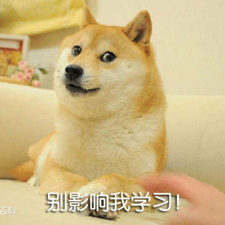 学生党斗图神器：这套“别影响我学习”表情包火了