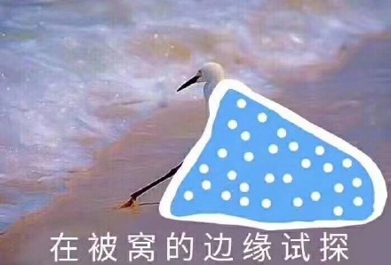 整理好了！斗图能用的表情包合集来啦