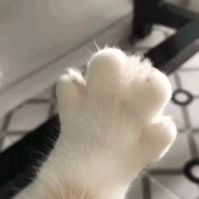 可爱动物情侣头像来啦！12张高清一左一右配对图