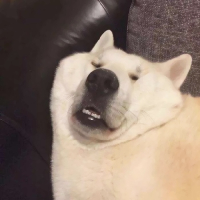 沙雕情侣头像合集来啦，一共8组