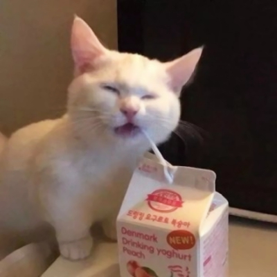 一对两张超萌搞怪猫咪情头 10组可爱情侣头像合集