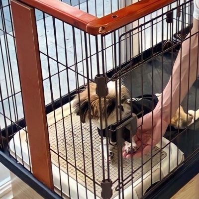 “女友不是人”系列情侣头像 高清16张合集