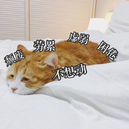 当下超火的表情包原图都在这了