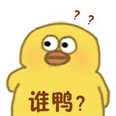 快存！高清小黄鸭斗图表情包来啦