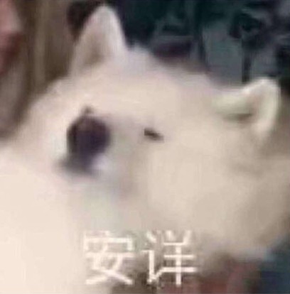 铲屎官狂喜！这套猫咪表情包又萌又能打