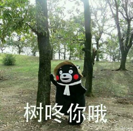 火遍全网的日本国宝熊本熊表情包合集