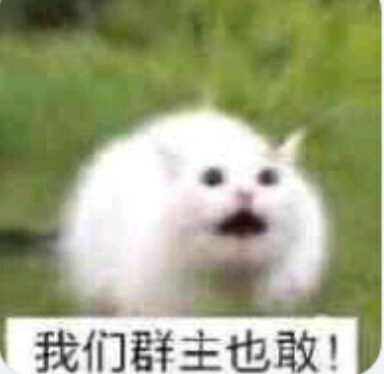 群主整活名场面合集！这些离谱操作笑到打鸣