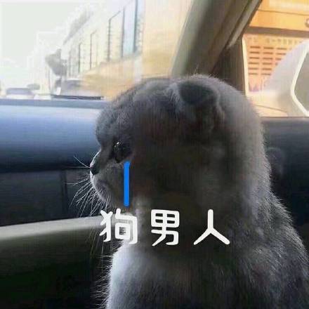 6月2日斗图表情包精选合集