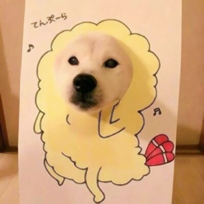 22组超萌搞怪萌宠情侣头像！一对两张高清可爱款