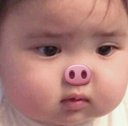 最新无水印热门表情包合集来啦