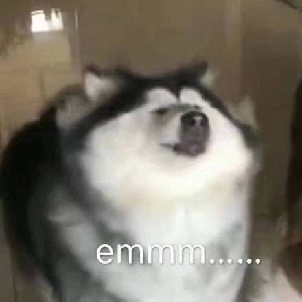 8月13日热门表情包原图合集来了