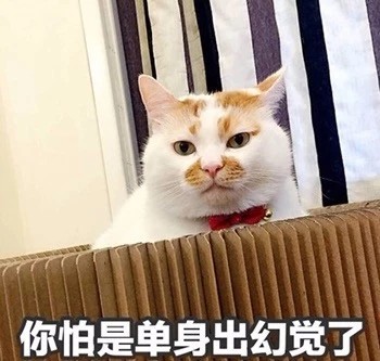 铲屎官狂喜！这套猫咪表情包又萌又能打