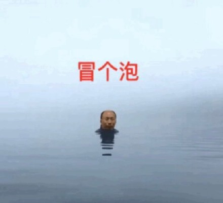 最后一天的表情包合集来啦！