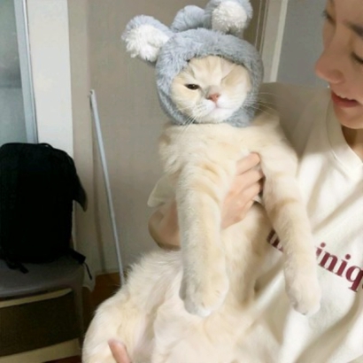 猫咪情侣头像合集 一对两张高清素材共10组