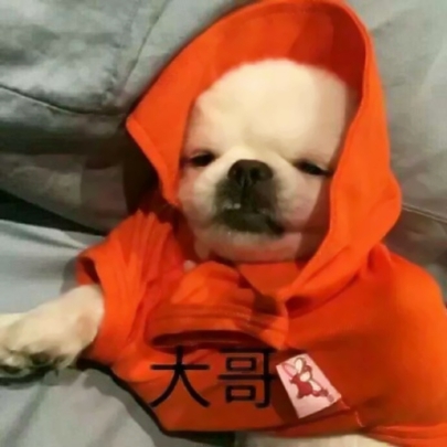 笑到跺脚的搞怪情侣头像！18张高清可爱又好笑的情头合集