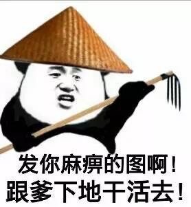 金馆长“我巨爽”表情包合集