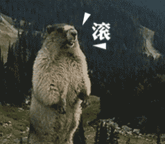 土拨鼠呐喊表情包 斗图必备素材合集