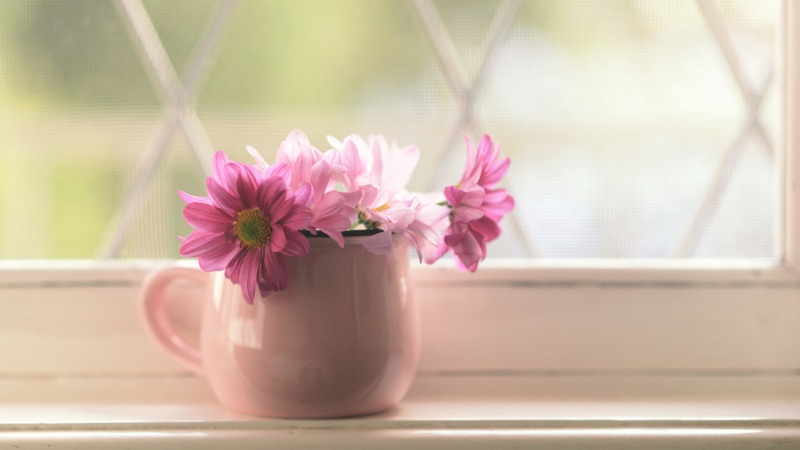 带鲜花花瓶的清新电脑桌面壁纸 高清花卉壁纸来啦