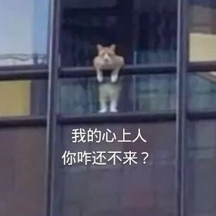 11月22日斗图表情包合集
