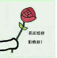 送花花表情包来啦！不接受就当小狗哦