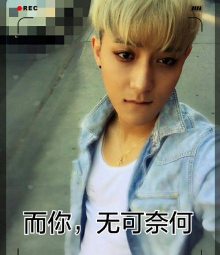 wuli韬韬表情包合集 黄子韬明星聊天表情动图