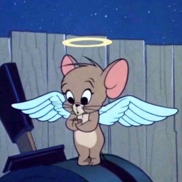 猫和老鼠情侣头像来啦！12张超清搞笑款一次看够