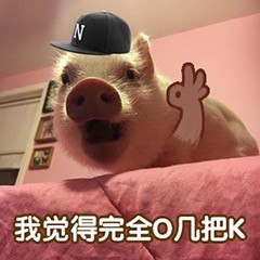 整理一下，先严格按要求来：