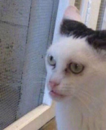 热门GKD斗图表情包合集来啦