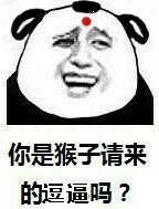 重要的事说三遍！你是猴子请来的逗逼吗？