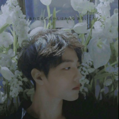 陈情令CP情侣头像来啦！14张高清一对两张图合集