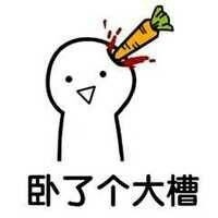 “你脑子进萝北了吗”这套表情包火了