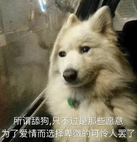 10月21日斗图表情包合集来啦