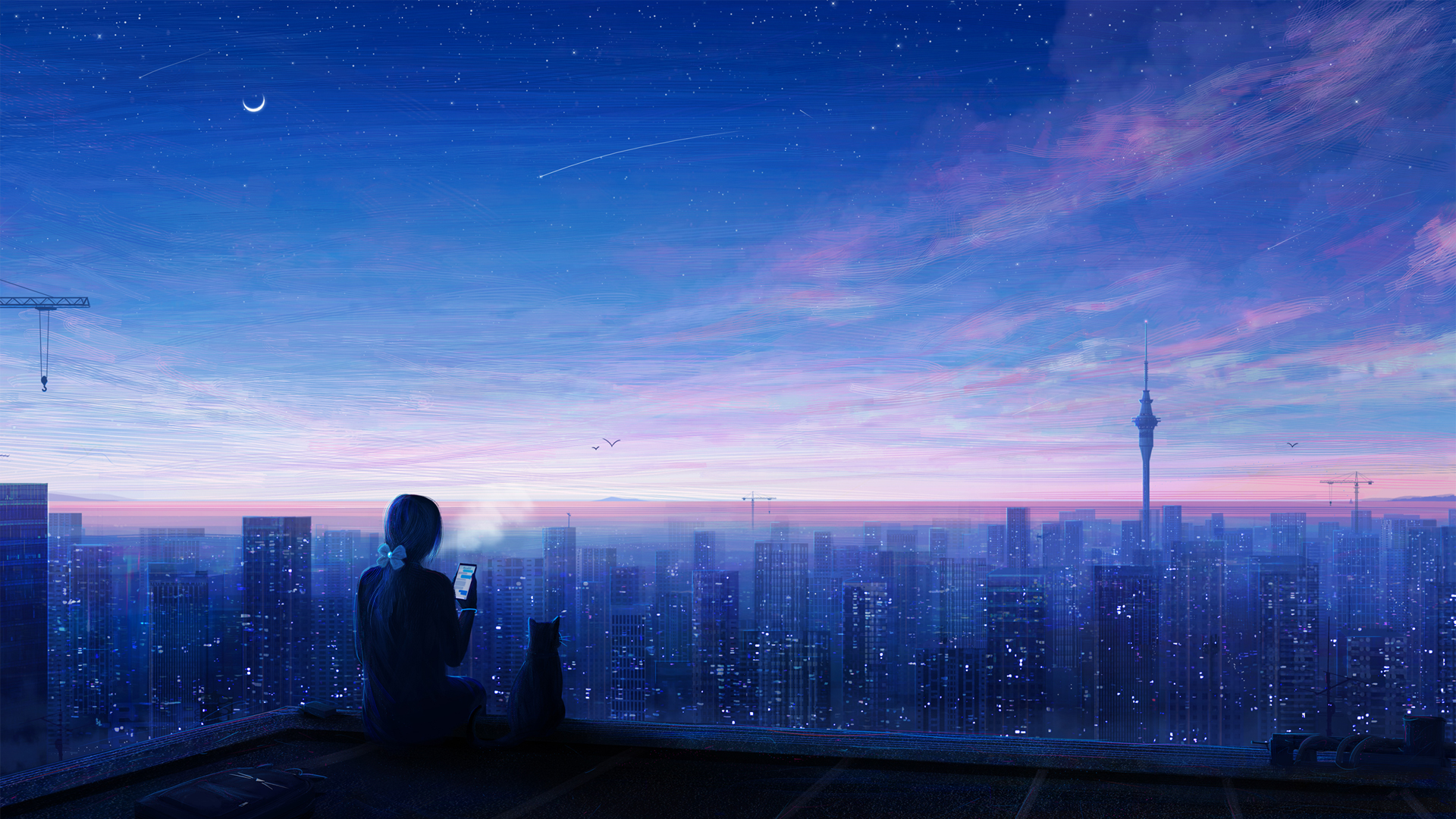 城市夜晚星空下撸猫的动漫女孩壁纸来了 适配多款屏幕尺寸