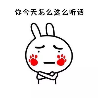 流氓兔版“有事回家说”表情包来了