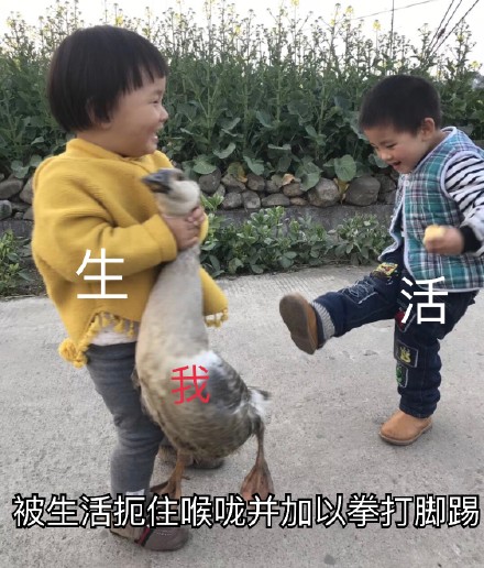 3月26日斗图表情包原图合集