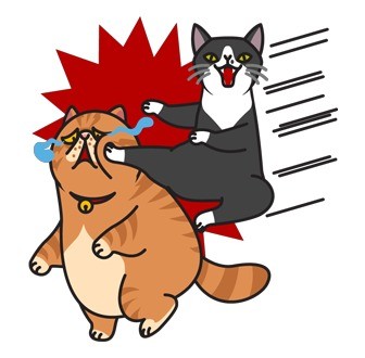 软萌胖胖猫咪表情包合集来啦