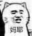 8月29日热门斗图表情包合集
