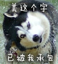 撸狗狂喜！这套汪星人表情包直接封神