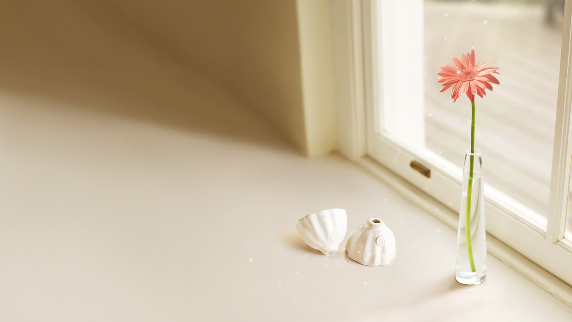 静谧清新的花卉电脑桌面壁纸 高清可选多尺寸