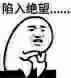 8月24日热门斗图表情包合集