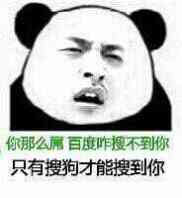 火出圈的梗图！百度搜不到这句梗，搜狗反而能找到