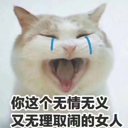 4月25日斗图表情包精选合集