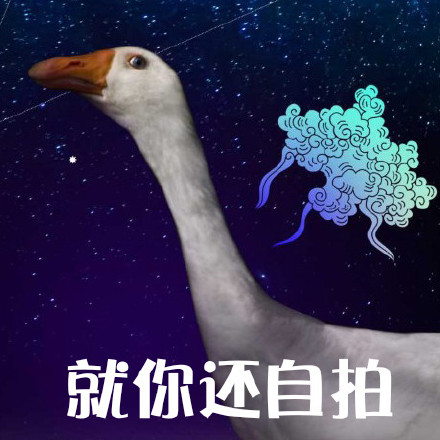 鹅鹅鹅表情包合集来啦！聊天斗图就用这个