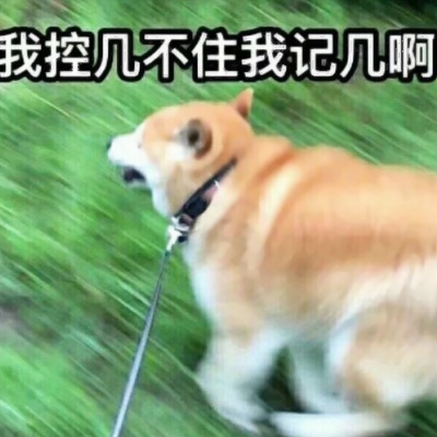 14张可爱又沙雕的情侣头像 高清无水印直接用
