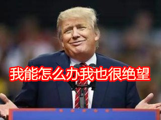 川普变表情帝！这套斗图表情包火了