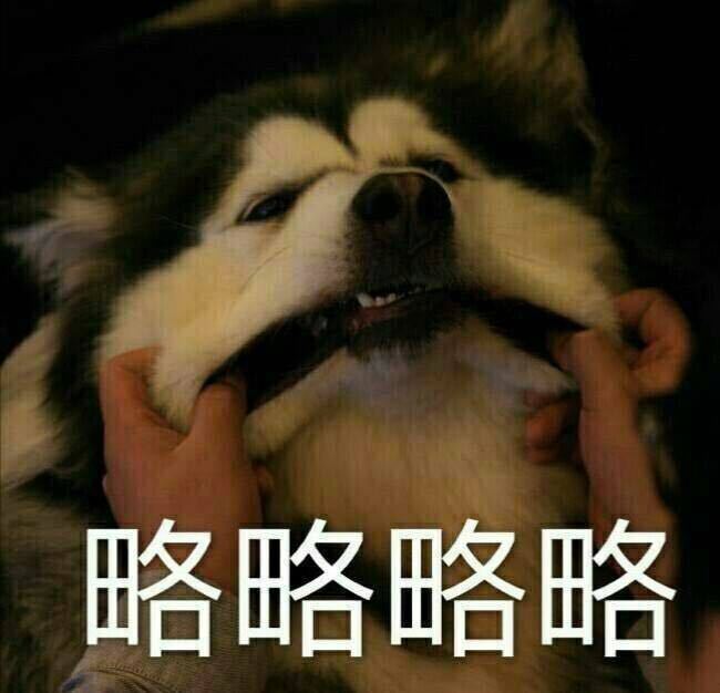 聊天斗图必备！这款略略略表情包系列太好用了