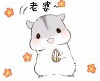 超萌仓鼠表情包合集，聊天斗图必备