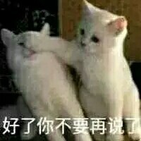 网友整理的宠物斗图表情包合集
